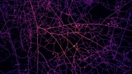 How plants and fungi trade resources without a brain