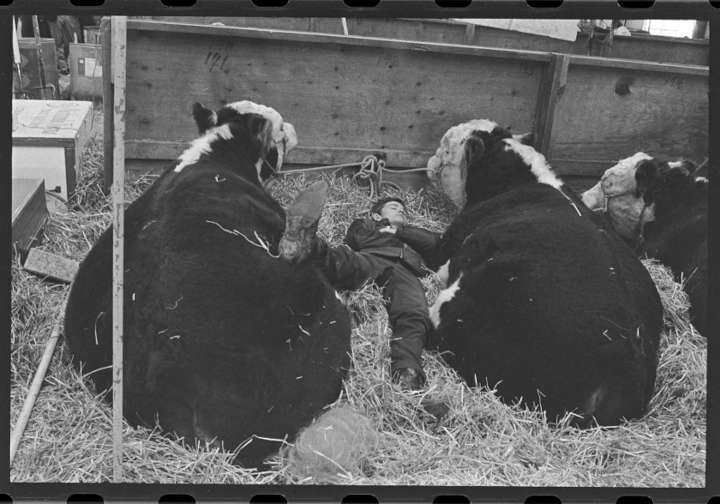 Thousands of Kansas City images from the tumultuous 1960s and ‘70s find a new home