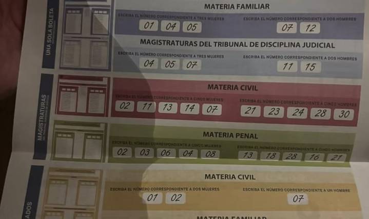 Maru Campos, a punto de lograr un Poder Judicial carnal gracias a impecable uso de acordeones