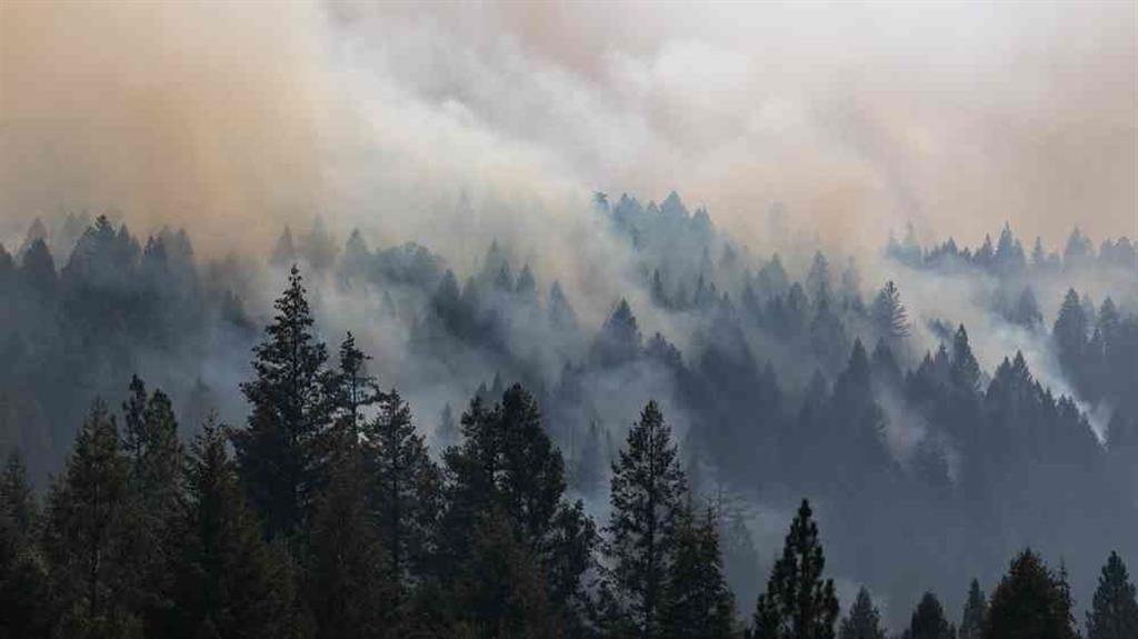 Envían 106 bomberos ticos para cooperar contra incendios en Canadá