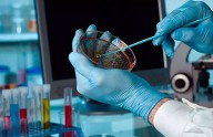 UCV impulsa proyecto para el desarrollo de fármacos contra el cáncer