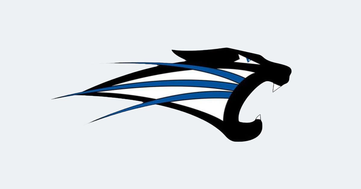 Saint Francis rally falls short in Sherman's debut