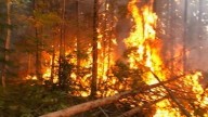 New Brunswickers are being asked to stay out of the woods. But what does that look like?