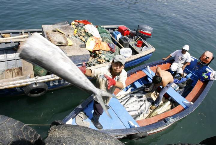 Pescadores en Matarani y Quilca levantaron bloqueo de carretera: no descartan retomar medidas