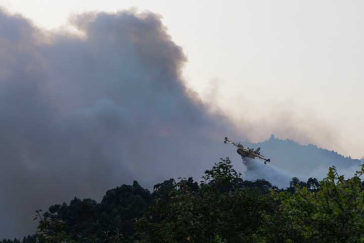 La Red SSPA alerta de la despoblación por los incendios
