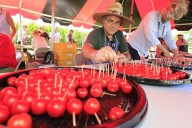 Great Tomato Tasting Event in N.J. offers 50+ varieties this week. Entry fee, registration details.