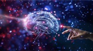 Los misterios del cerebro: el nuevo enfoque para investigar la demencia que cambia el escenario científico de América Latina