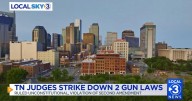 TN strikes down 2 'unconstitutional' gun laws; open carry now allowed in state parks