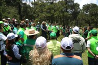 PVEM CDMX arranca campaña de reforestación