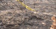 Residents raise concerns about fires in Sepulveda Basin