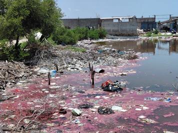 Basurero flotante contamina Celestún ante indiferencia del Ayuntamiento