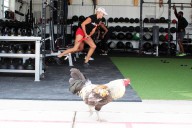 JLAFit Athletics offer sports performance training in ...