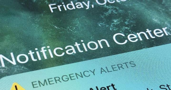Trump proposed getting rid of FEMA, but his review council seems focused on reforming the agency