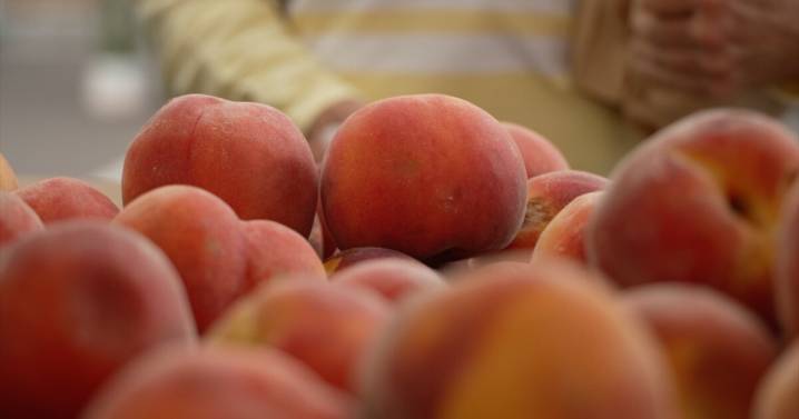 Evergreen Farmers Market emphasizes superior produce freshness over supermarkets as prices rise