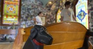 A massive mountain park in Vermont celebrates the bond between dogs and their humans