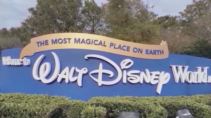 Disney adults: Superfans, nostalgia seekers, or just misunderstood?
