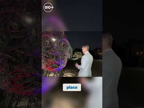 New Midtown Sacramento Art Tour | Unveiling Urban Dreams