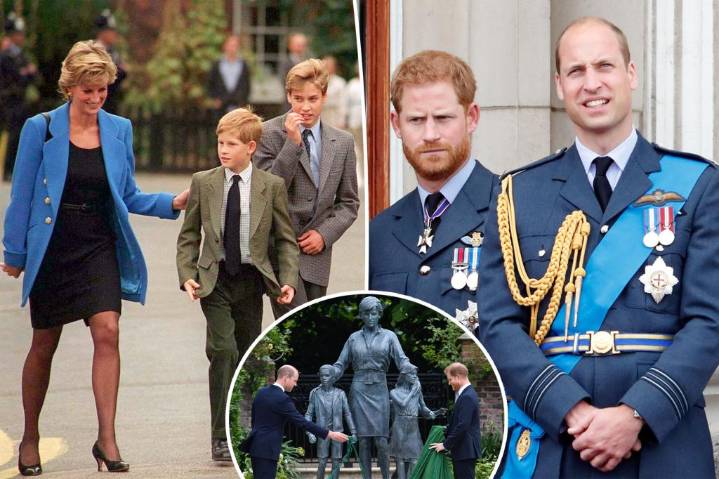 What Princess Diana would've done about Prince Harry, William's ongoing rift, according to her biographer