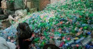 Processing Scots waste abroad is tipping point, we should recycle here