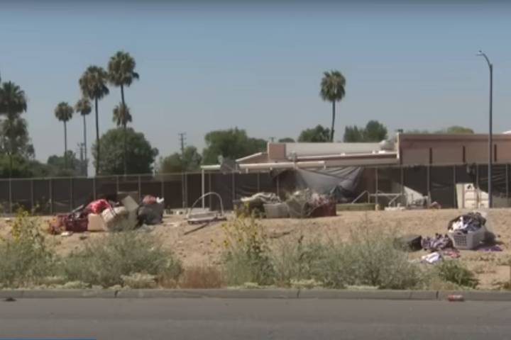 Woman, 51, Mauled to Death by a Pack of Stray Dogs at a California Park