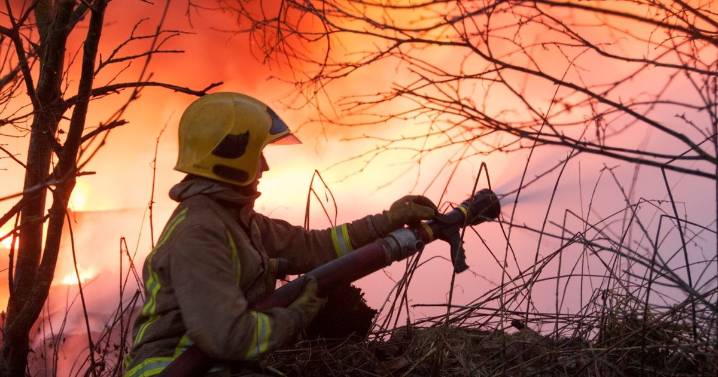 Almost a quarter of South Ayrshire deliberate fires take place in one area