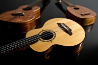Guitars, ukuleles stolen from Dublin Elementary School