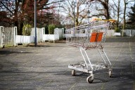 Feds ask for personal data for SNAP recipients; WV groups say governor should not comply