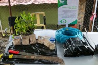 Comuna Don Quijote instala vivero: producirá 5 mil plantas