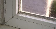 UK households urged to wipe windowsills as 'venomous' problem sweeps England