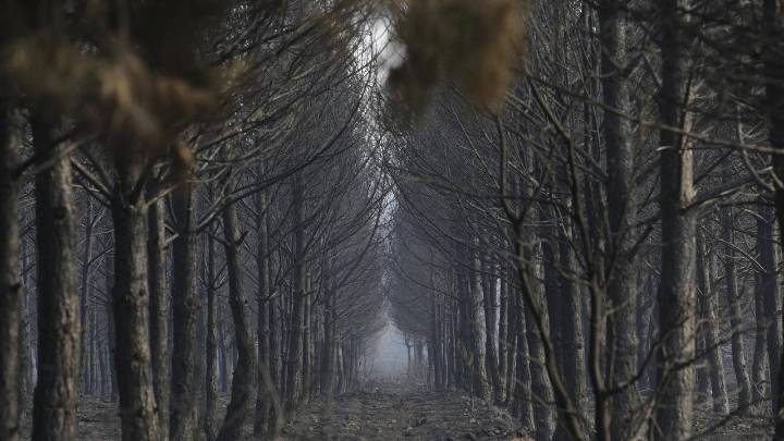 Desalojado el valle de Valdeón en la vertiente leonesa de Picos de Europa por un incendio