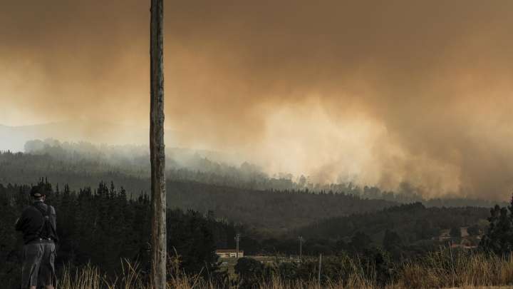 Galicia, Extremadura, Castilla y León y Asturias lloran con la destrucción de los incendios: "Lo describen como un infierno y es verdad"