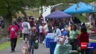 Waterbury families gather in Fulton Park for Back to School Rally