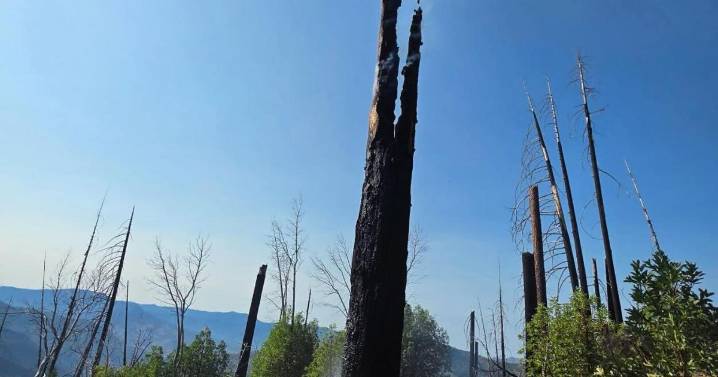 CAL FIRE Butte Unit contain six lightning-caused fires throughout Butte County, one fire remains uncontained