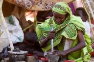 Sudan’s famine worsens as civil war intensifies: ‘We have nothing to eat but animal feed’