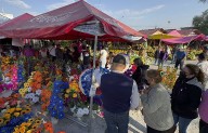 Nuevo reglamento prohíbe ingreso de ‘perrijos’ y alcohol a cementerios municipales