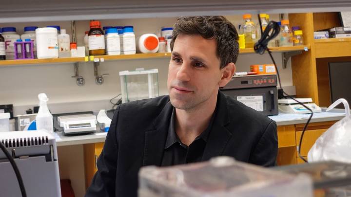 Del veneno a la cura: César de la Fuente y la inteligencia artificial que rastrea antibióticos en toxinas animales