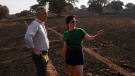 Ayuso, desde la zona afectada por el incendio de Tres Cantos: «Ahora tenemos que colaborar entre administraciones para solucionar y ayudar»