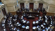 El Senado ya sesiona por universidades, Garrahan y decretos delegados