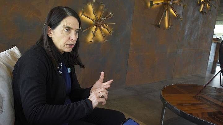 Polémica por los dichos de la senadora Álvarez Rivero: "No creo que los niños argentinos tengan derecho a venir al Garrahan"