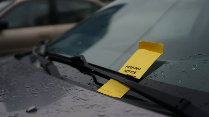 Winnipeg Man Gets Out of Parking Ticket By Claiming He Was "Protesting"
