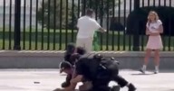 Moment police tackle man to ground and arrested him in front of White House