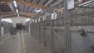 Bell County Commissioners approve new outreach coordinator position for animal shelter amid controversy