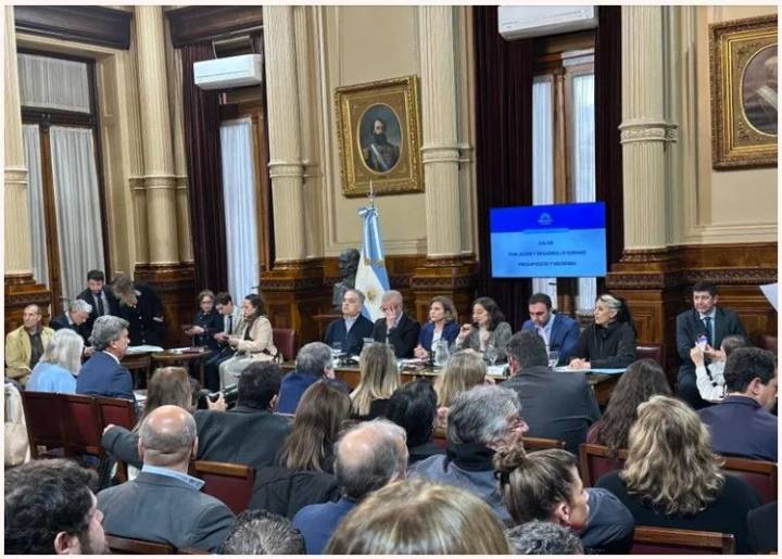 El Senado se prepara para dictaminar el financiamiento universitario y la emergencia pediátrica