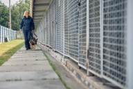 Refugios : en crisis por mascotas de migrantes deportados