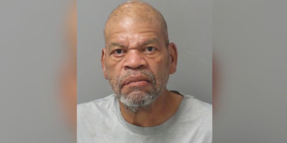 ‘You two are coming with me’: Man accused of kidnapping women from Tower Grove Park