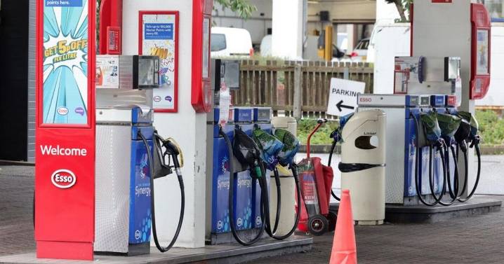 Petrol prices 'could fall to 120p a litre' after first drop in months