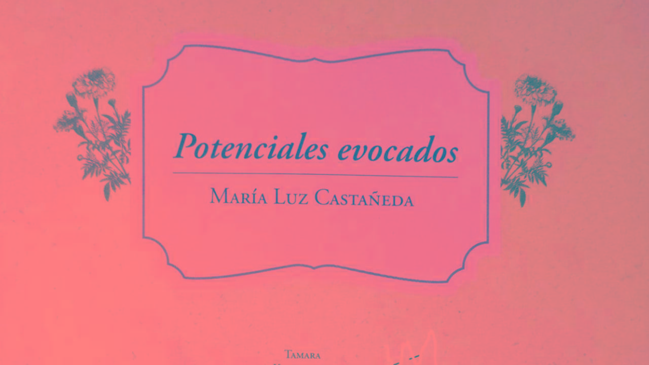 Cultura: potenciales evocados trasciende un poemario