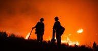 Colorado declares disaster emergency for Crosho fire