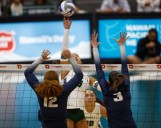 Hawaii women’s volleyball swept by Utah State