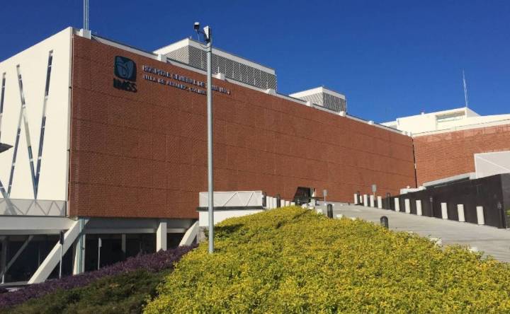 Colima informa muerte de hombre por rabia; es el segundo caso a nivel nacional